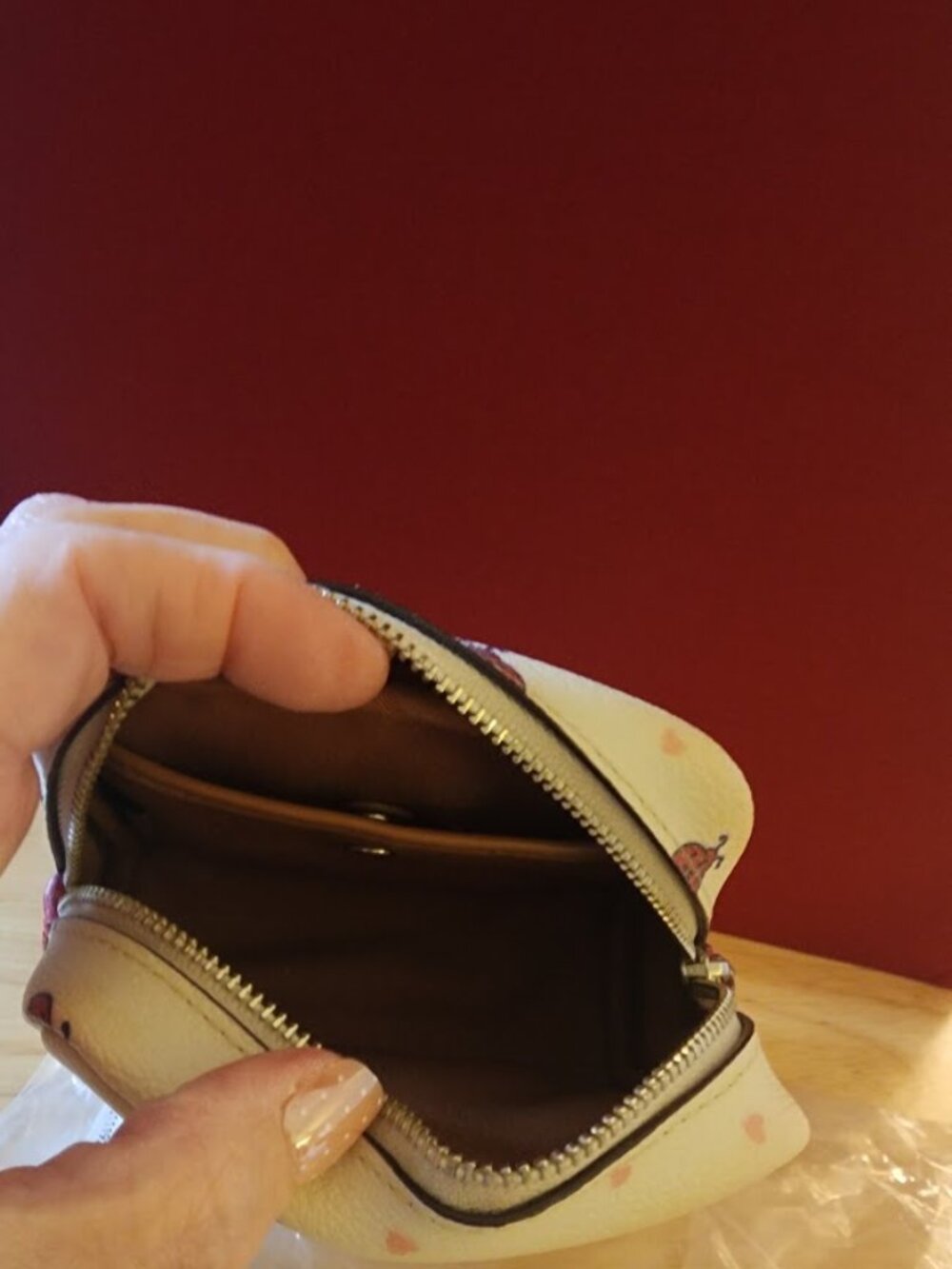 Coach Ladybug Mini Boxy Case - Picture 5 of 8